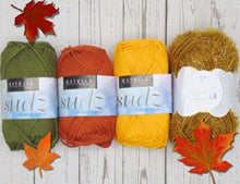 Load image into Gallery viewer, Estelle Autumn Holiday Sudzy Bubbly Scrubby Kit
